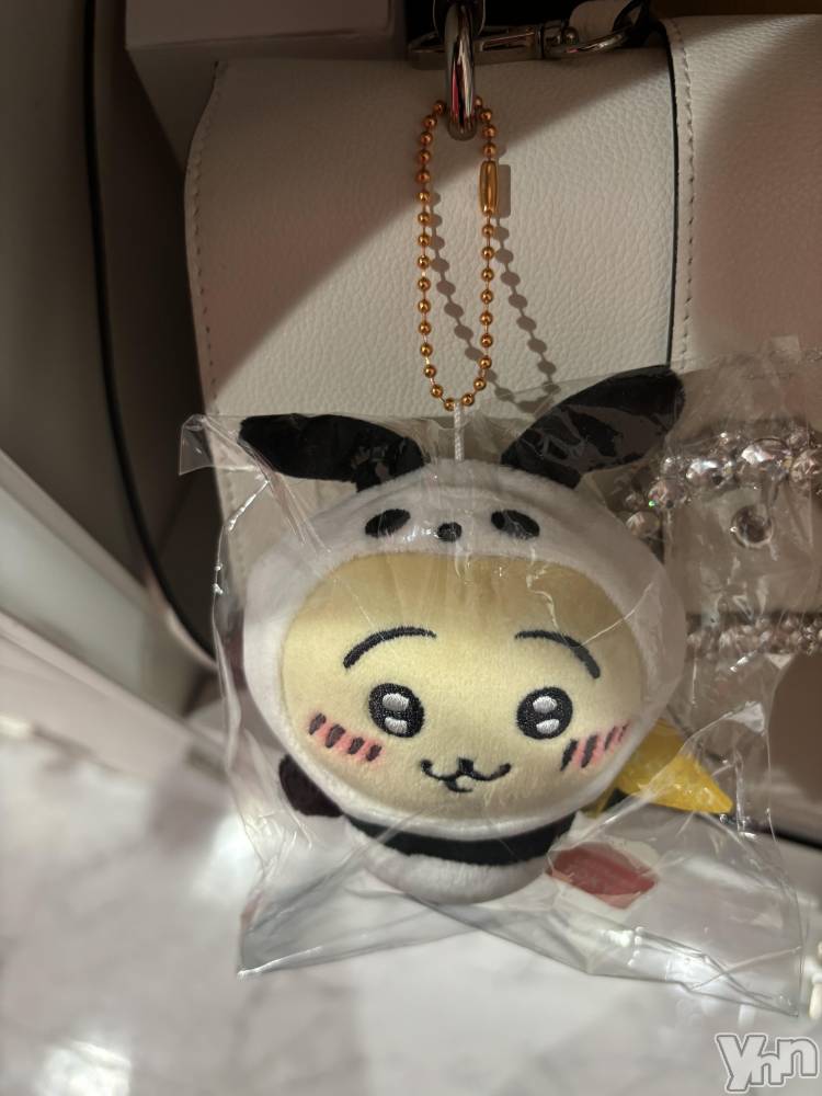 ���ܥ���Х��顦�����Cheriru(�������) �����ߤ�11��2���̥�֥����֤����������🐰��