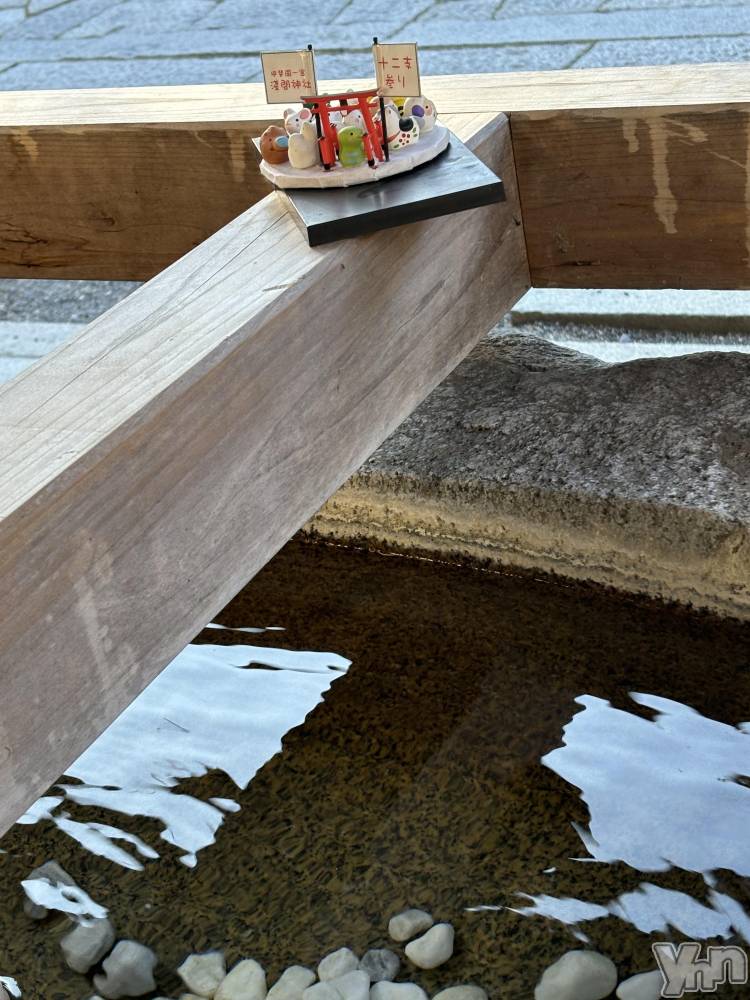 ���ܥ���Х��顦�����Cheriru(�������) �����ߤ�2��8���̥�֥�����🐍��