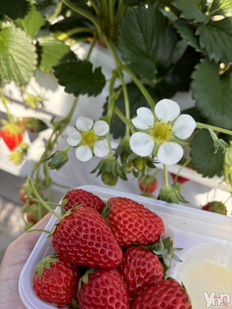 ���ܥ���Х��顦�����Cheriru(�������) �����ߤ�2��13���̥�֥�����🍓��