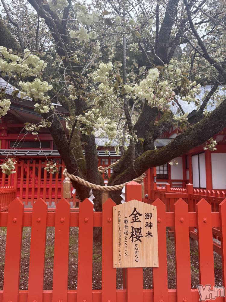 ���ܥ���Х��顦�����Cheriru(�������) �����ߤ�4��30���̥�֥�����🌼��