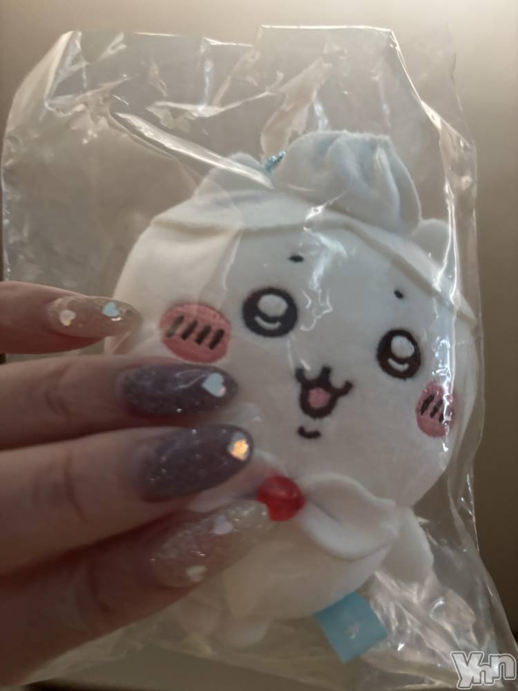 ���ܥ���Х��顦�����Cheriru(�������) �����ߤ�5��9���̥�֥�����🐈��