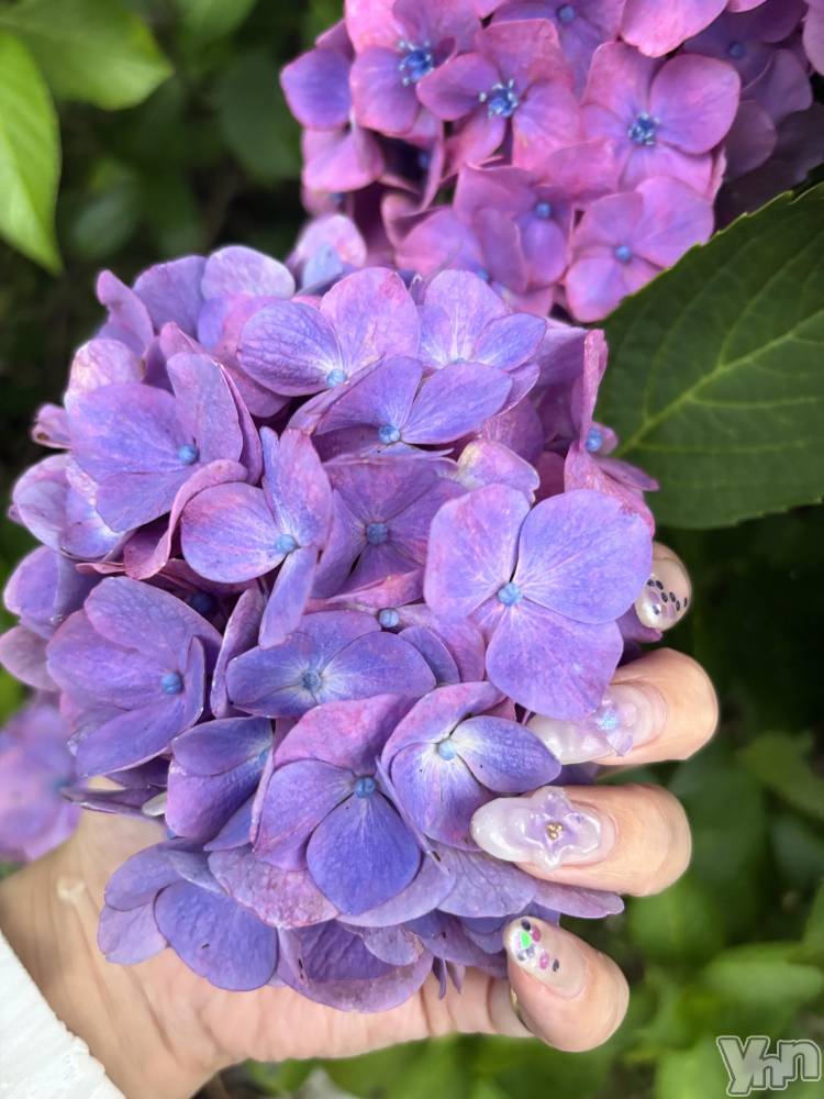 ���ܥ���Х��顦�����Cheriru(�������) �����ߤ�6��29���̥�֥�����💠��