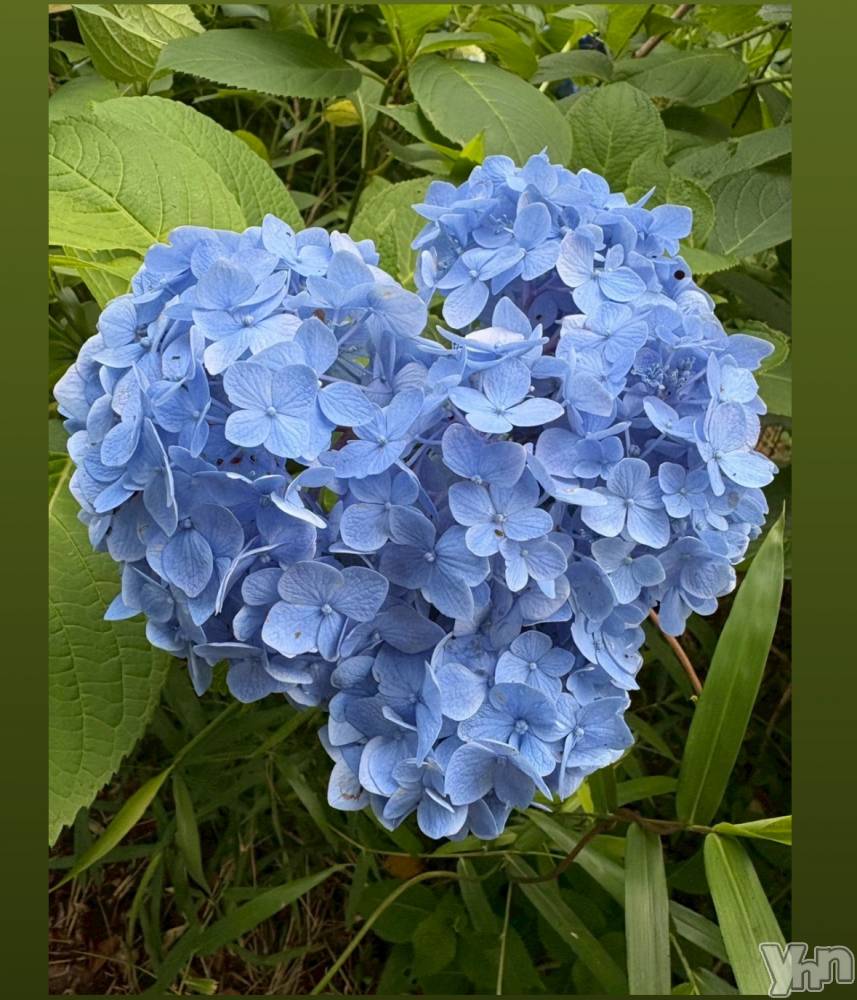 ���ܥ���Х��顦�����Cheriru(�������) �����ߤ�7��4���̥�֥�����💠��