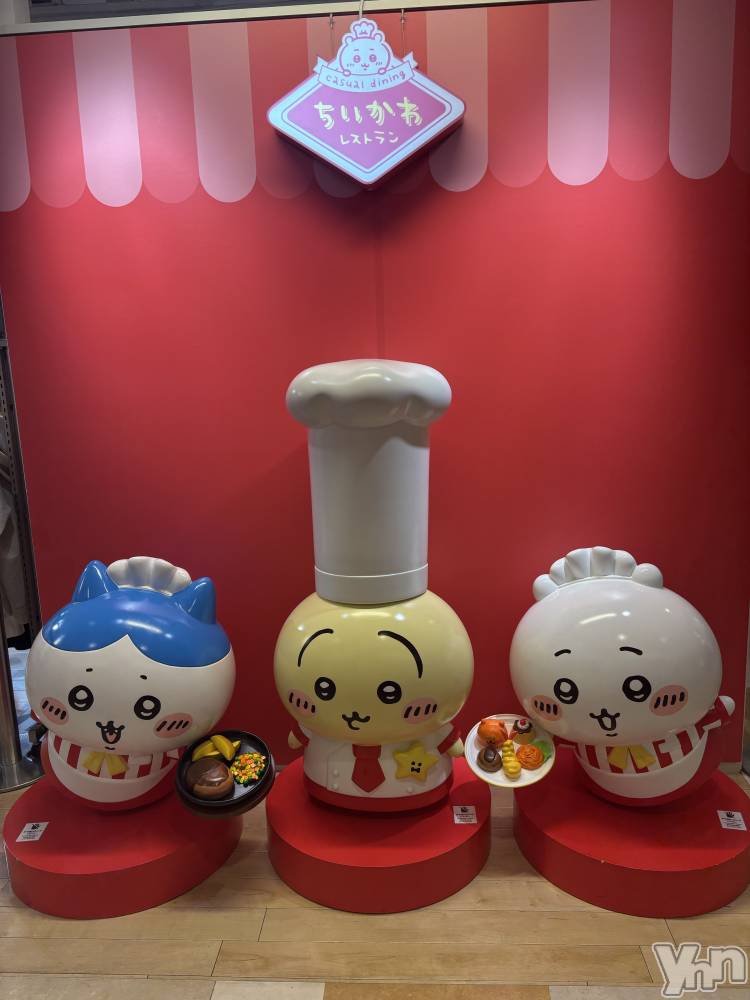 ���ܥ���Х��顦�����Cheriru(�������) �����ߤ�7��15���̥�֥�����🐰��