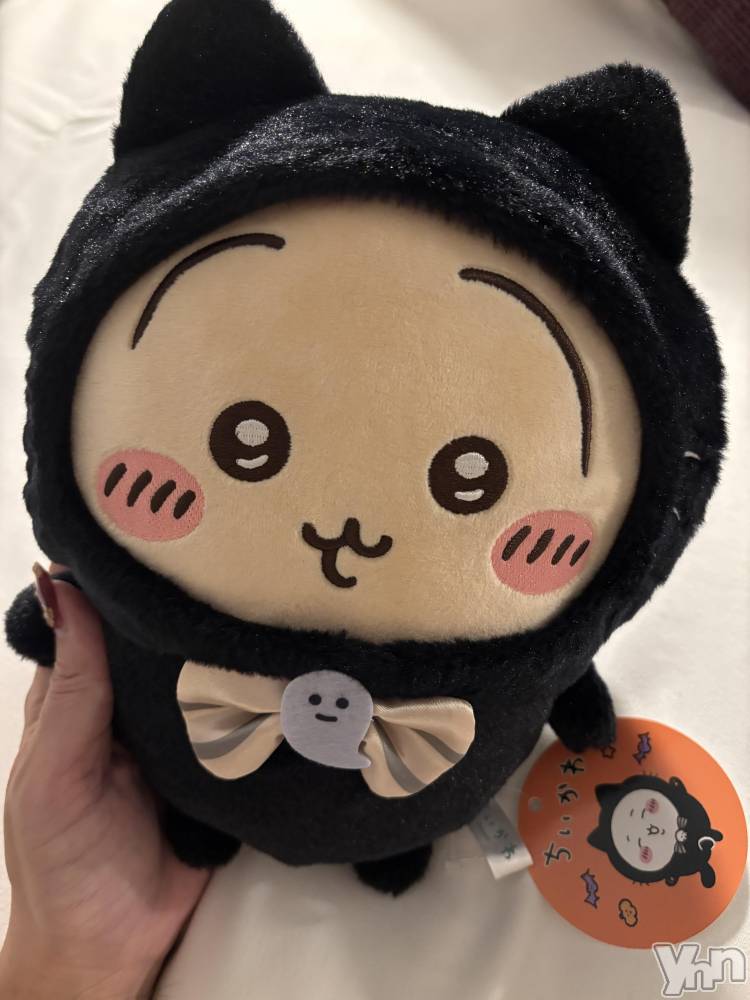 ���ܥ���Х��顦�����Cheriru(�������) �����ߤ�9��23���̥�֥�����🐈‍⬛��