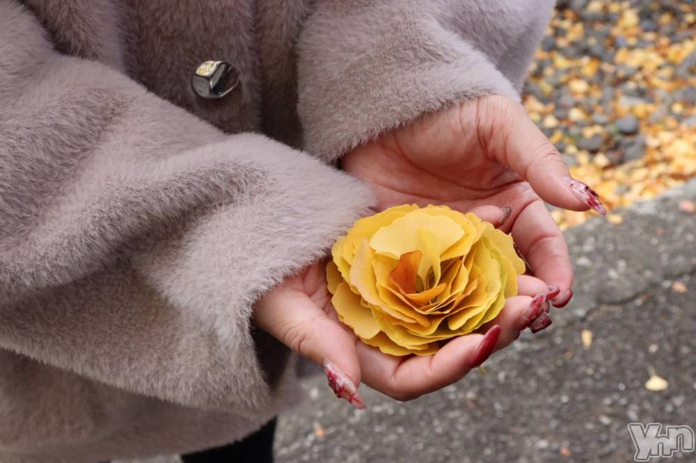 ���ܥ���Х��顦�����Cheriru(�������) �����ߤ�11��15���̥�֥�����🧠��