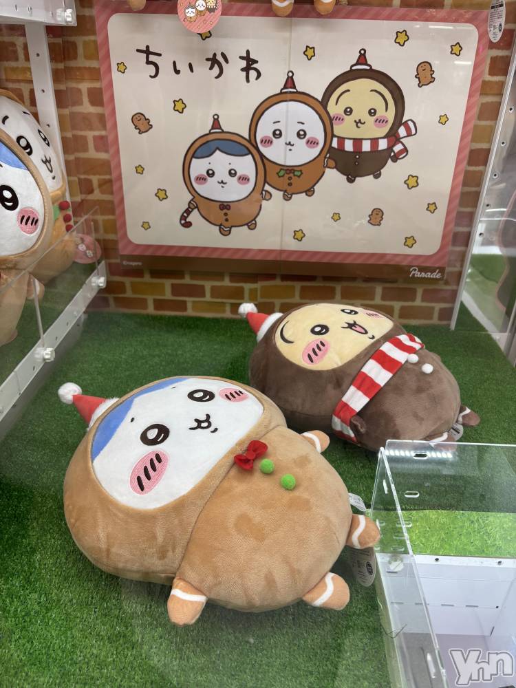 ���ܥ���Х��顦�����Cheriru(�������) �����ߤ�12��1���̥�֥�����🎄��