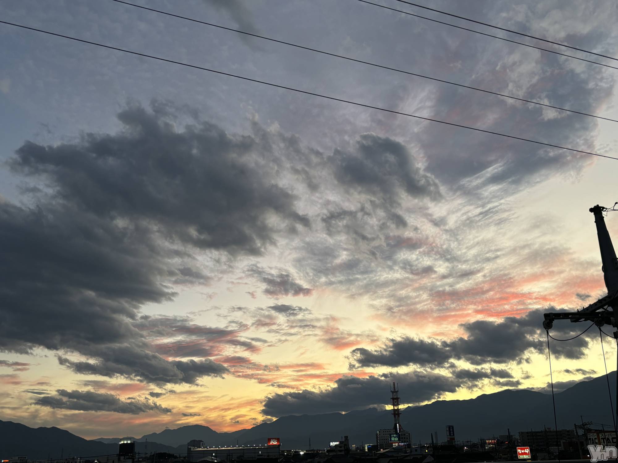 ���ܥ���Х��顦�����Cheriru(�������) ��2024ǯ11��22���̥�֥����֥ե�ߥ�🦩��