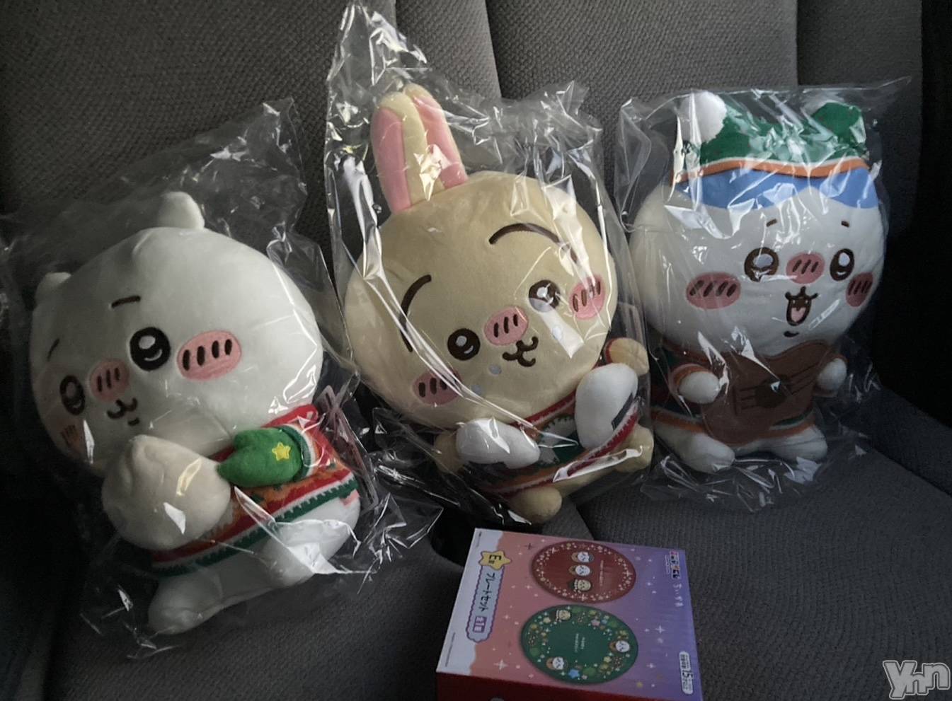 ���ܥ���Х��顦�����Cheriru(�������) ��2024ǯ12��13���̥�֥����ֿ䤷���