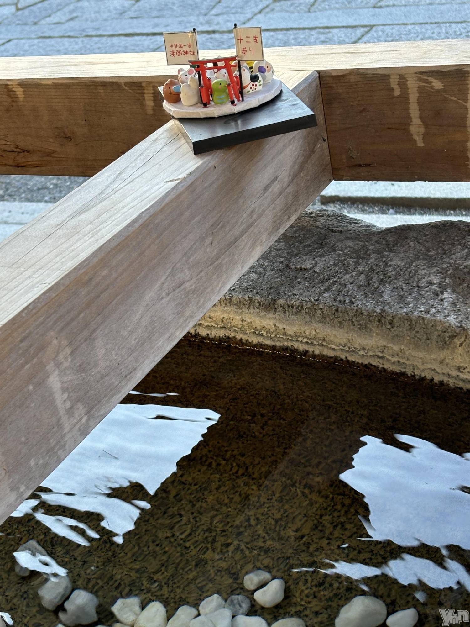 ���ܥ���Х��顦�����Cheriru(�������) ��2025ǯ2��8���̥�֥�����🐍��