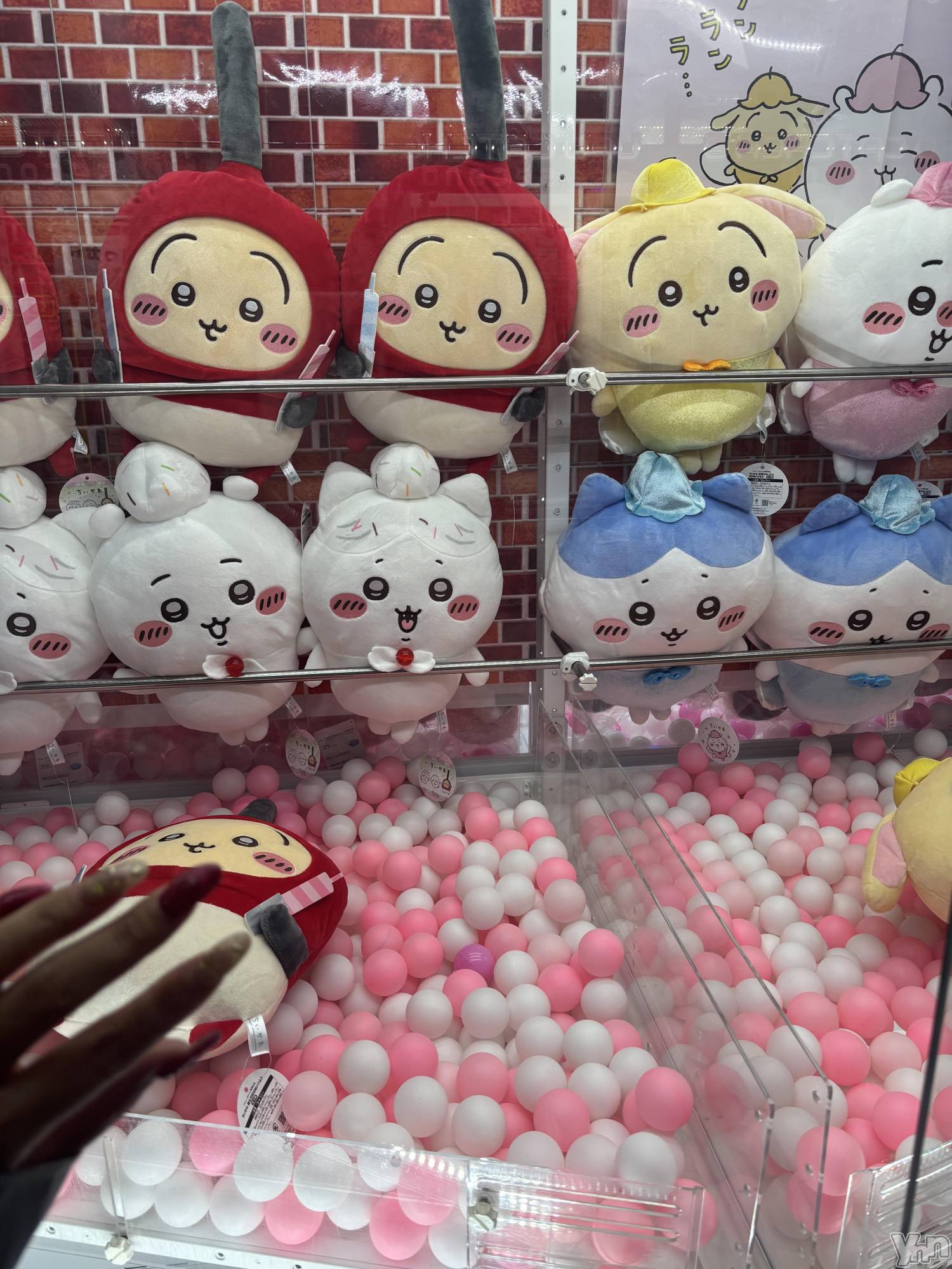 ���ܥ���Х��顦�����Cheriru(�������) ��2025ǯ5��1���̥�֥�����🍰��