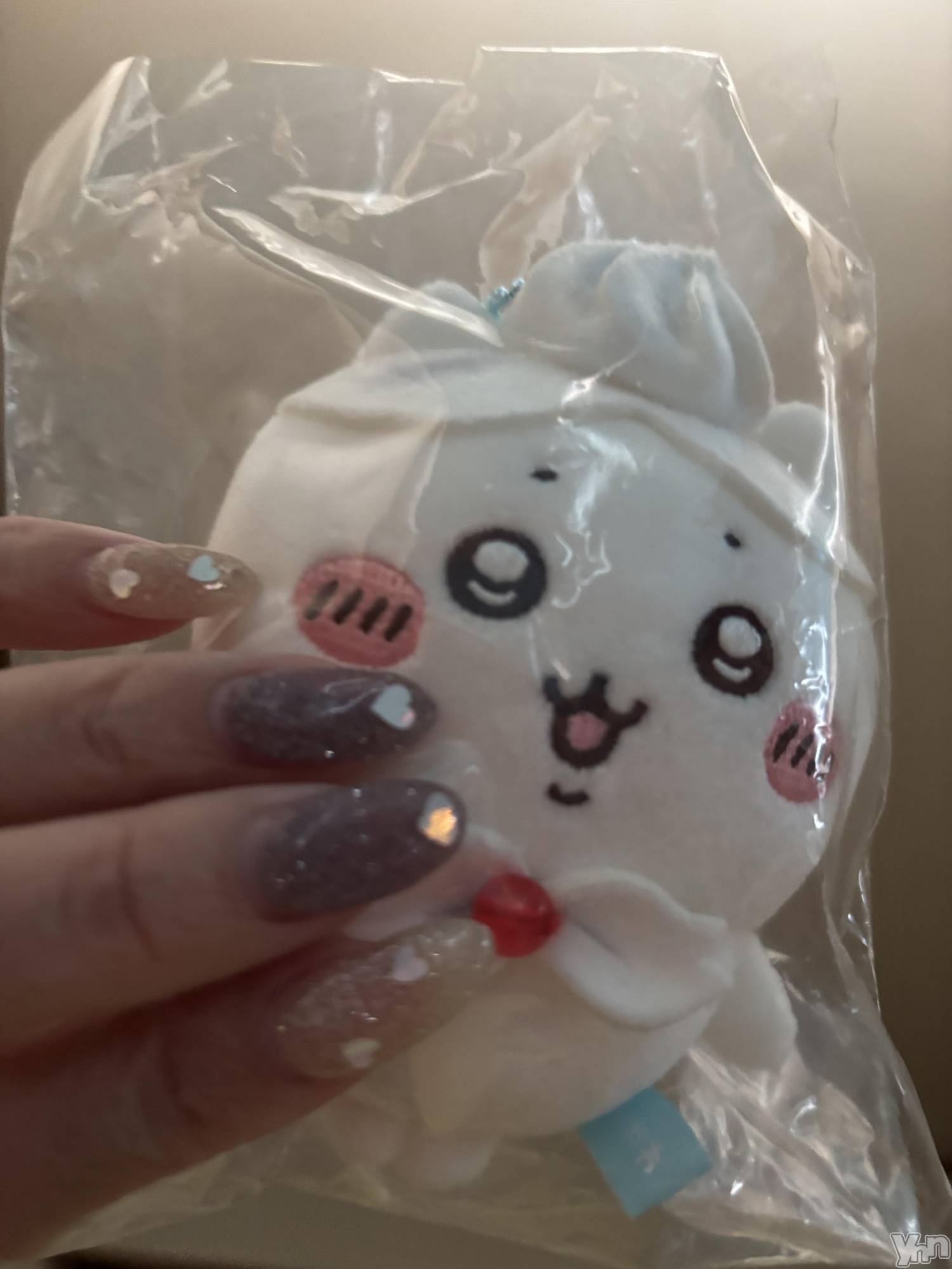 ���ܥ���Х��顦�����Cheriru(�������) ��2025ǯ5��9���̥�֥�����🐈��