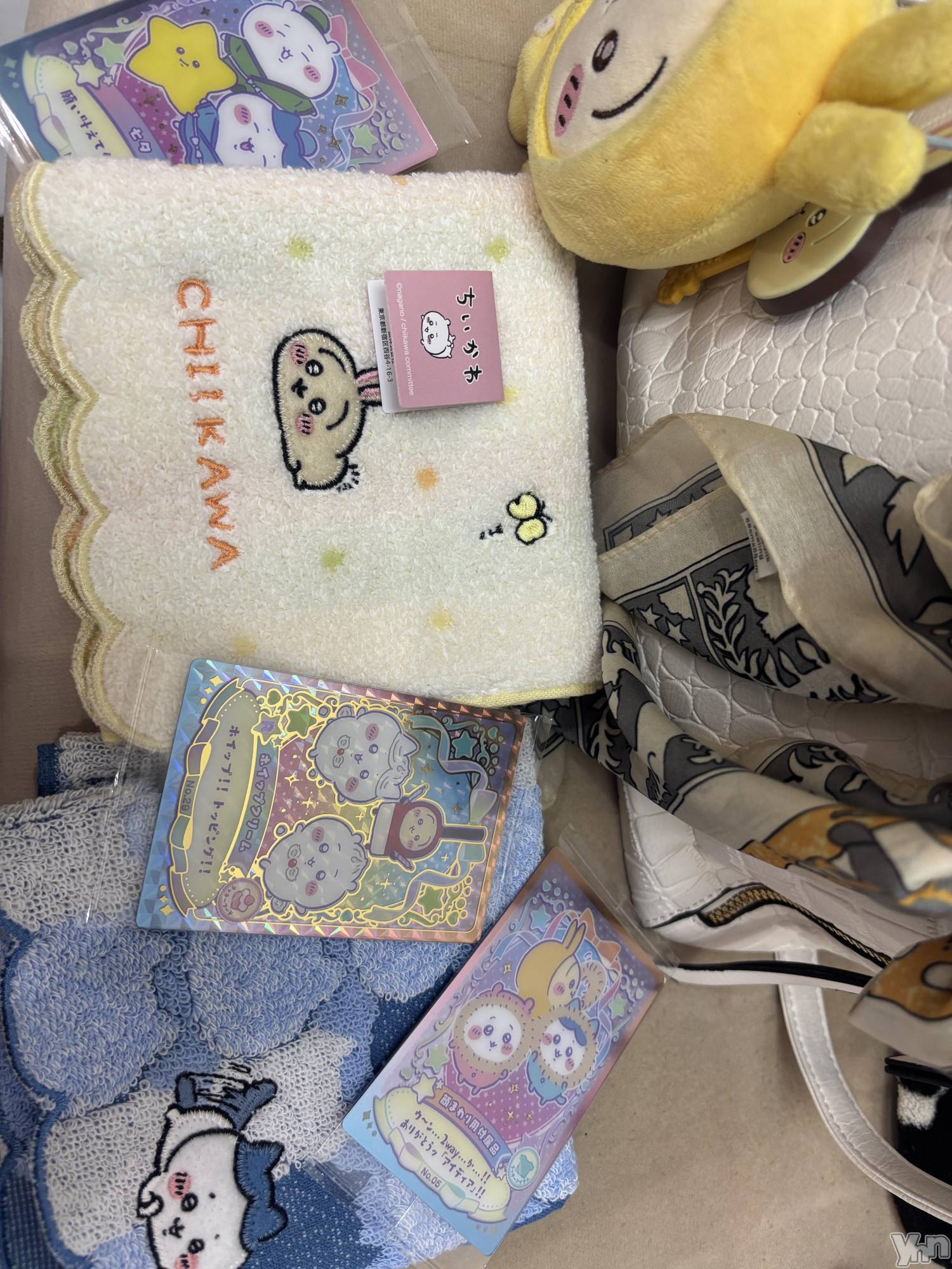 ���ܥ���Х��顦�����Cheriru(�������) ��2025ǯ6��15���̥�֥�����🐰��