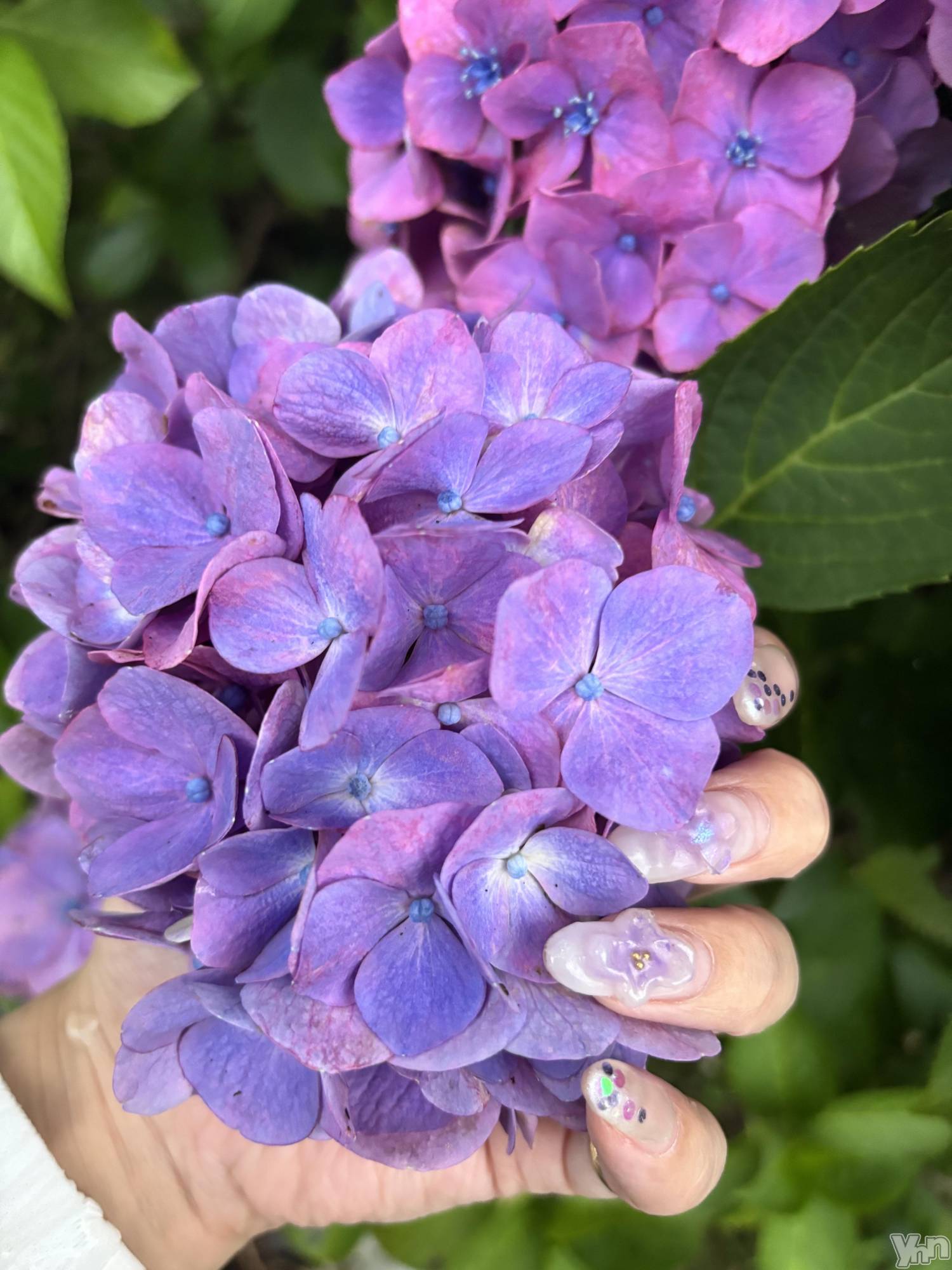 ���ܥ���Х��顦�����Cheriru(�������) ��2025ǯ6��29���̥�֥�����💠��