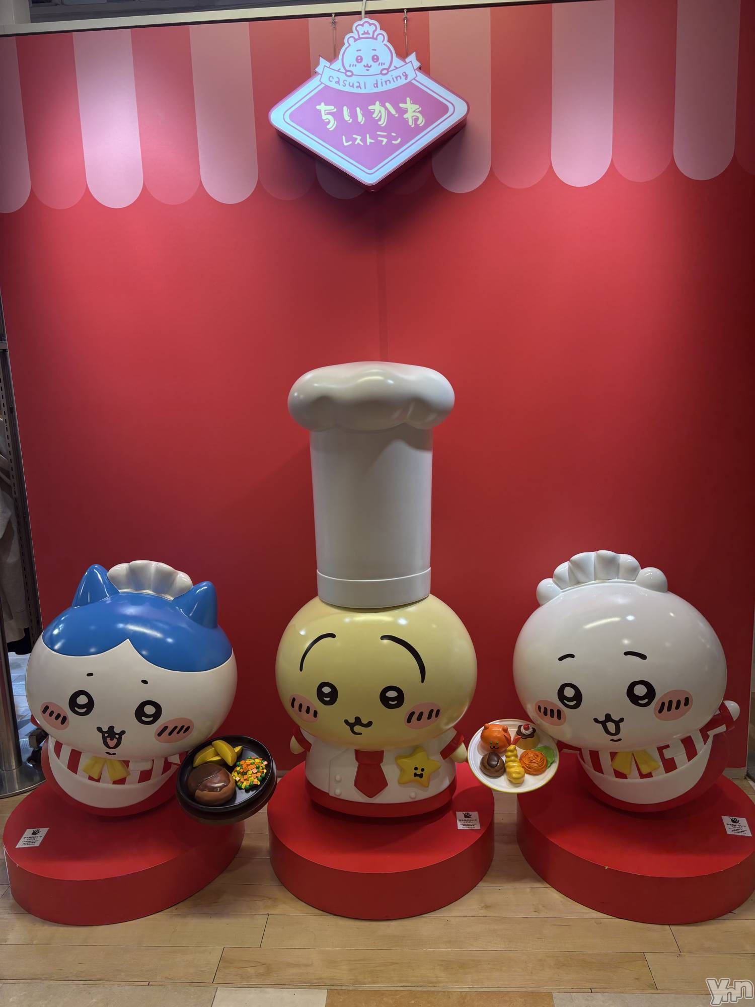 ���ܥ���Х��顦�����Cheriru(�������) ��2025ǯ7��15���̥�֥�����🐰��