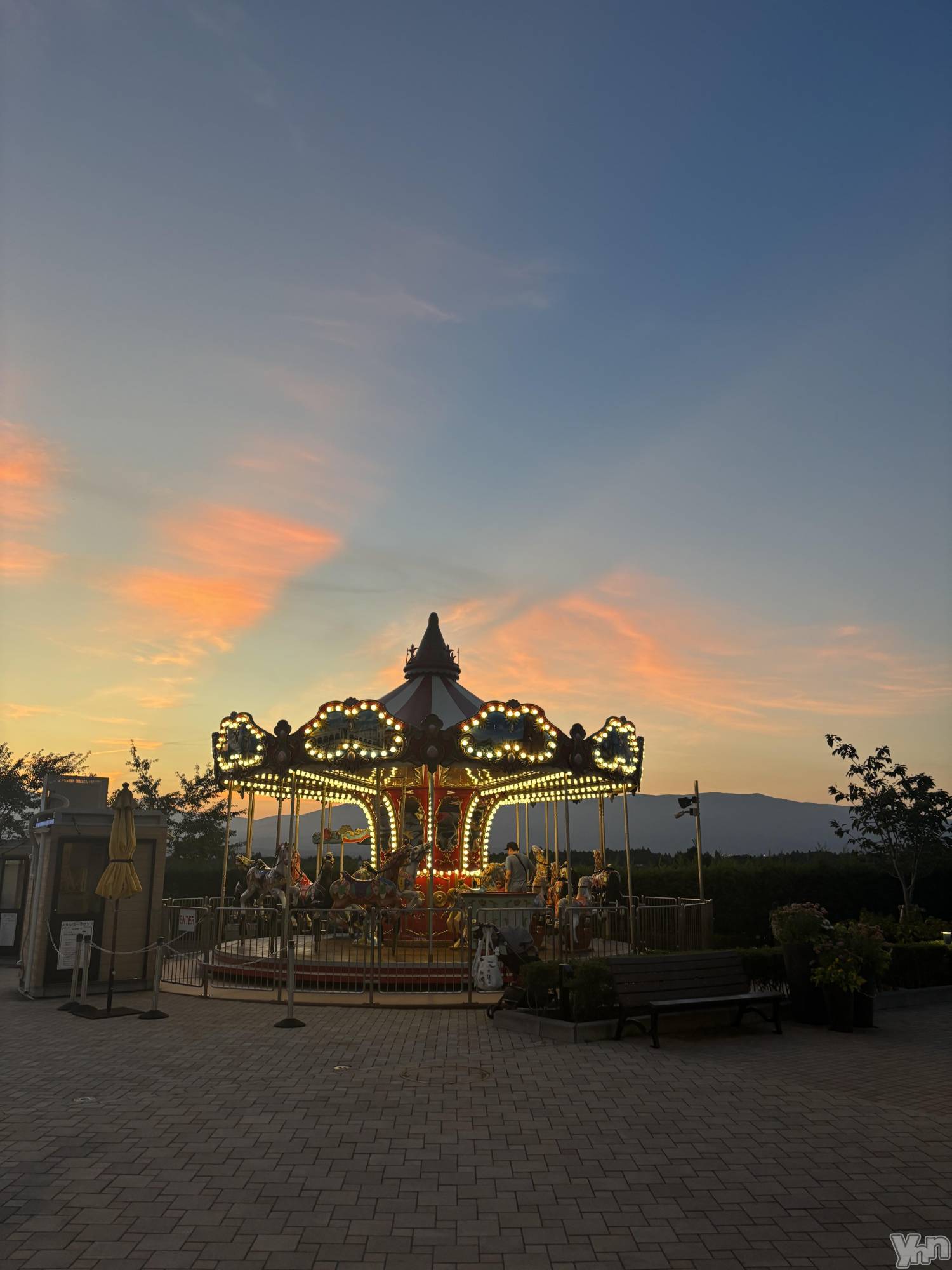 ���ܥ���Х��顦�����Cheriru(�������) ��2025ǯ7��31���̥�֥�����🎠��