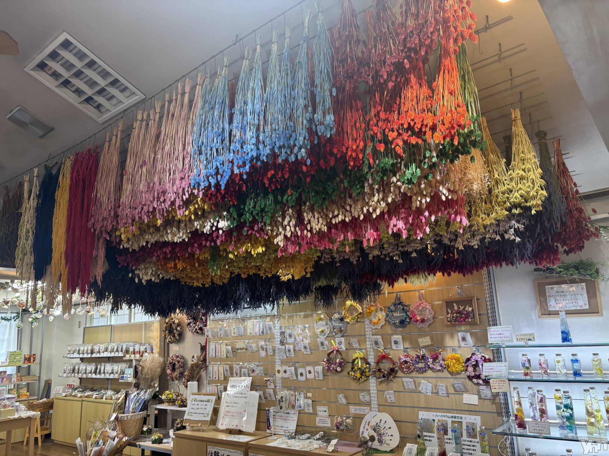 ���ܥ���Х��顦�����Cheriru(�������) ��2025ǯ8��21���̥�֥�����💐��