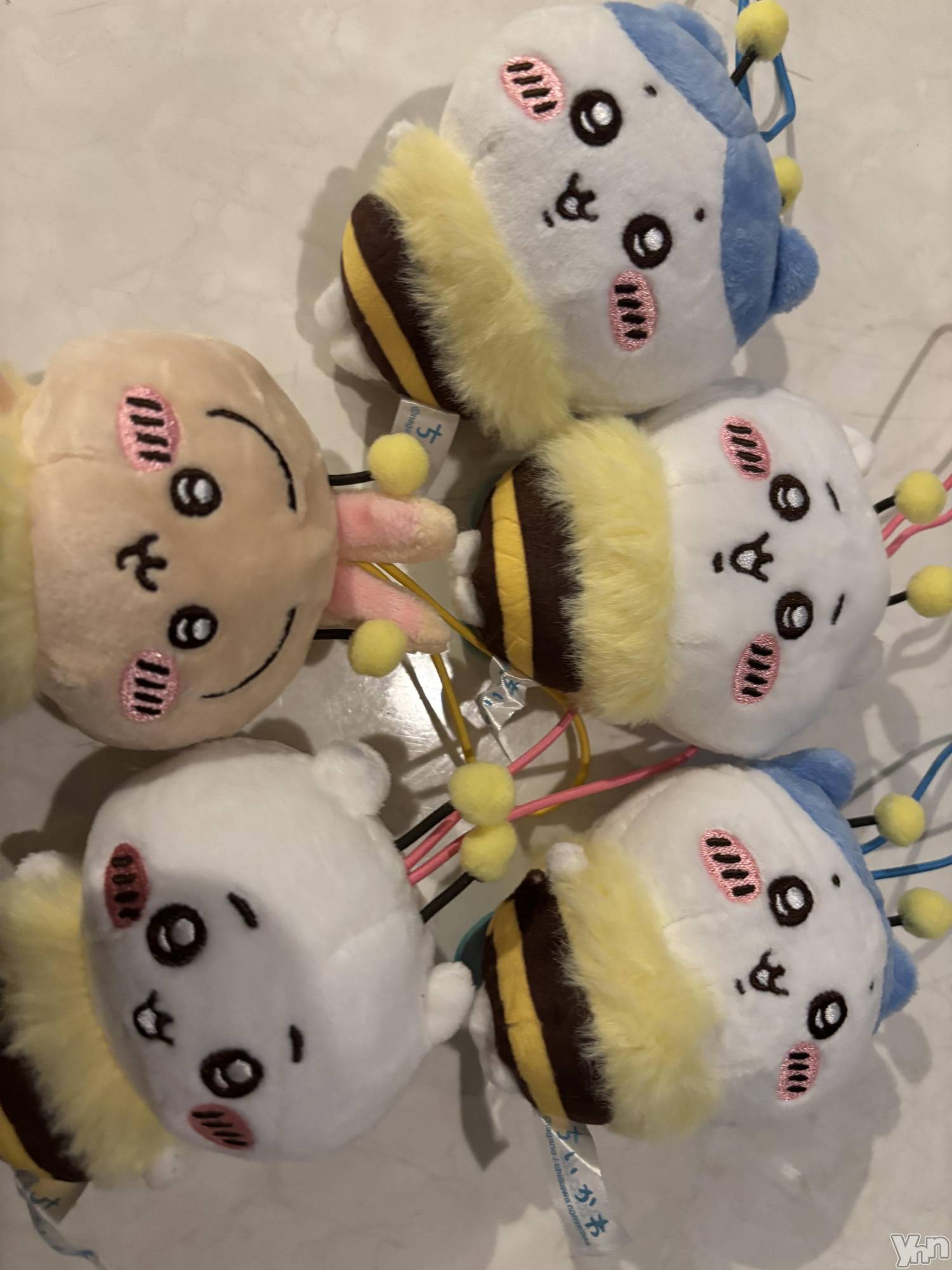 ���ܥ���Х��顦�����Cheriru(�������) ��2025ǯ9��1���̥�֥�����🐝��