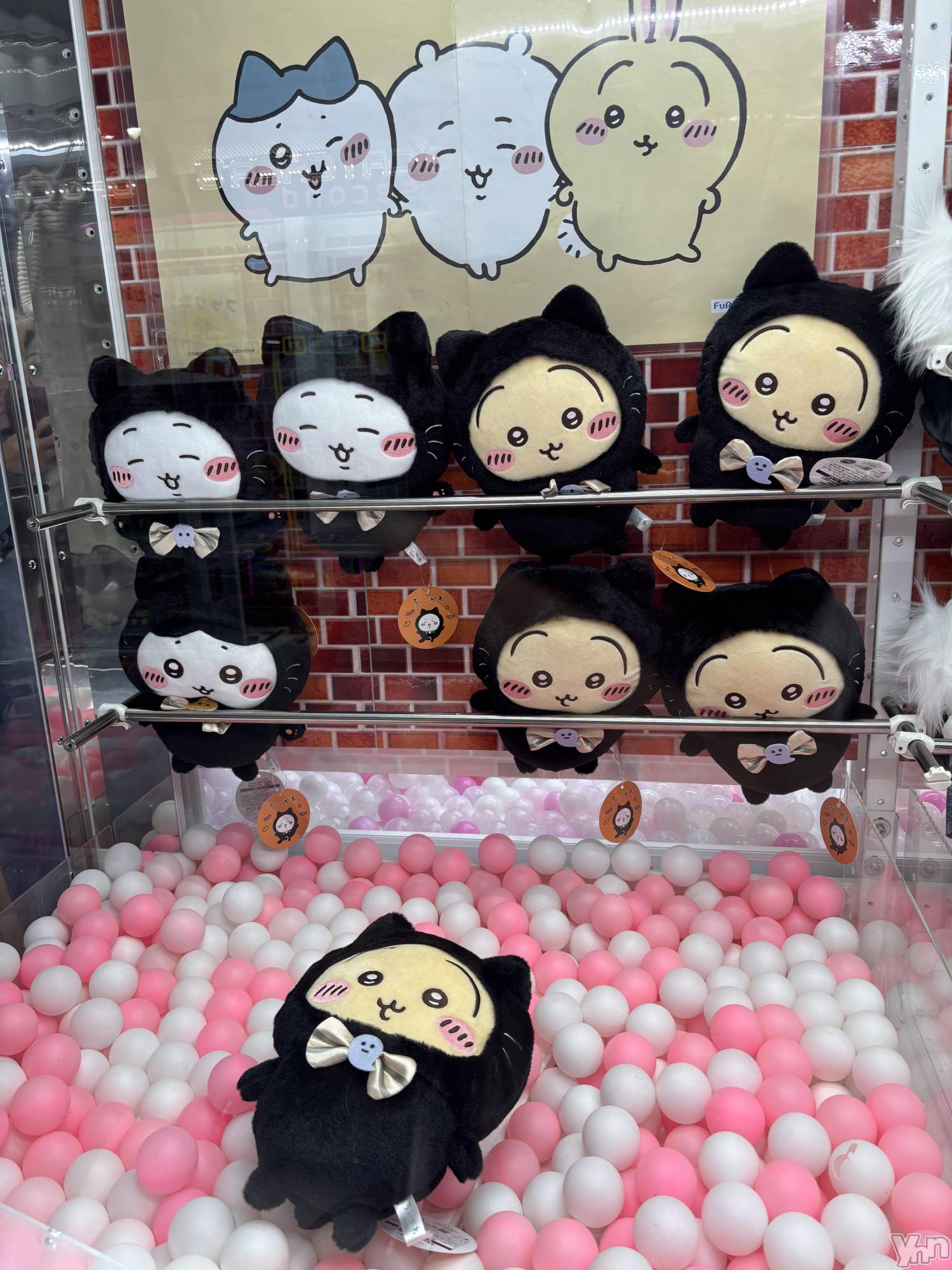 ���ܥ���Х��顦�����Cheriru(�������) ��2025ǯ10��1���̥�֥�����👻��