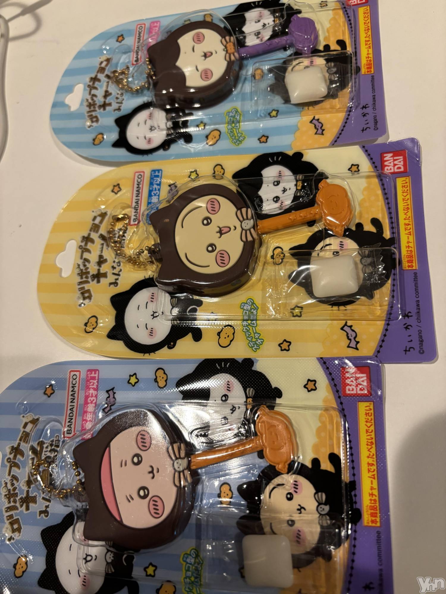 ���ܥ���Х��顦�����Cheriru(�������) ��2025ǯ10��5���̥�֥�����🐈‍⬛��