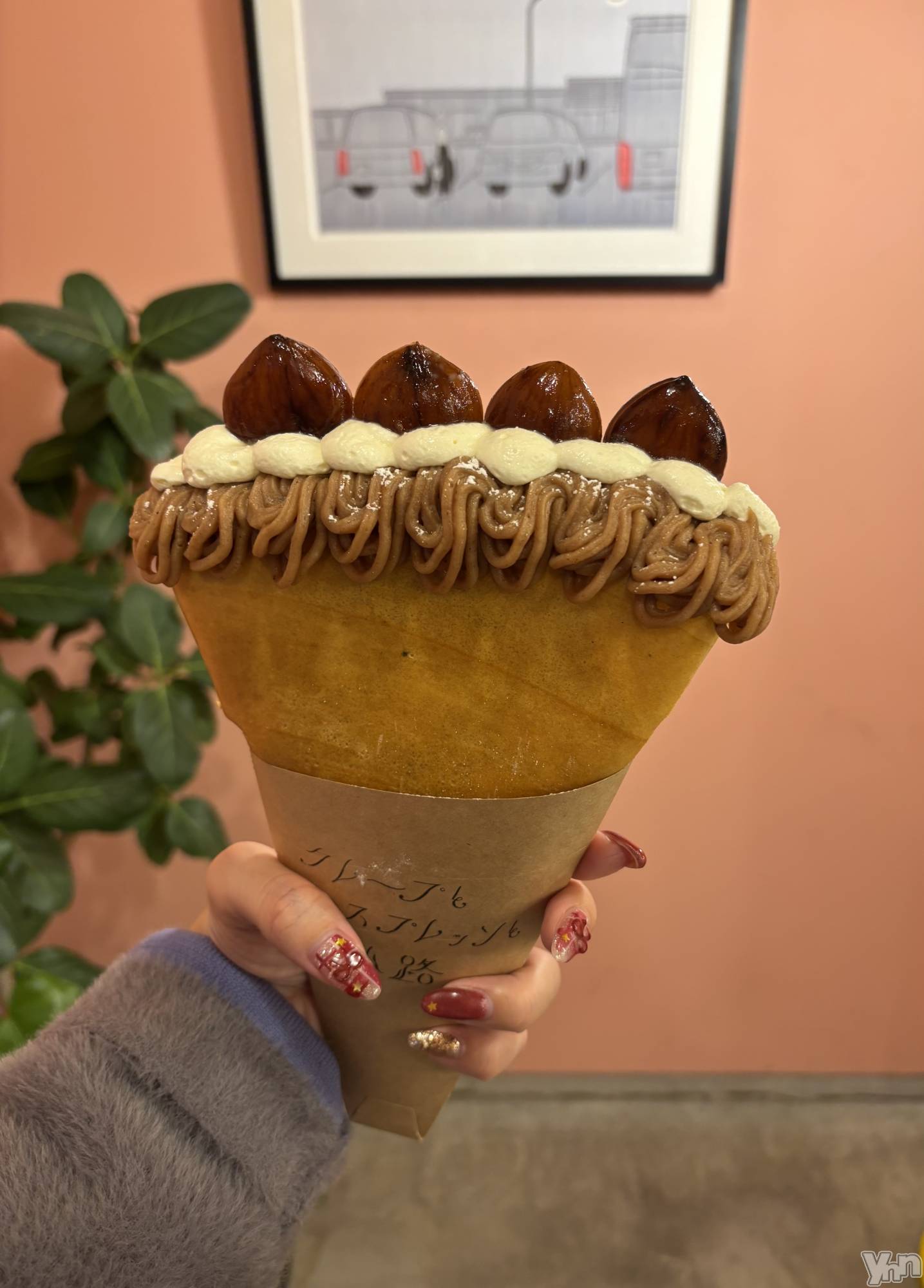 ���ܥ���Х��顦�����Cheriru(�������) ��2025ǯ11��12���̥�֥�����🌰��