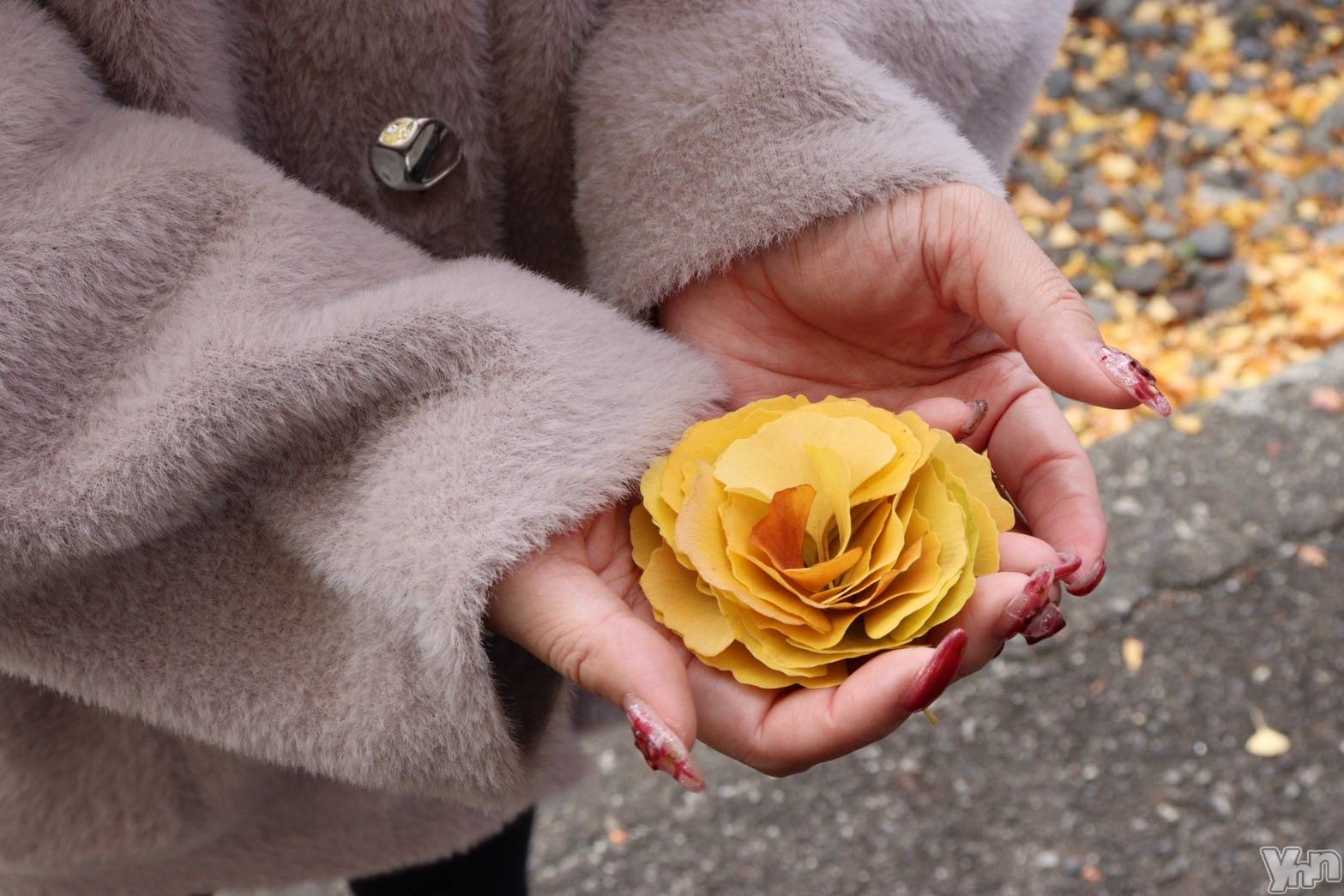 ���ܥ���Х��顦�����Cheriru(�������) ��2025ǯ11��15���̥�֥�����🧠��