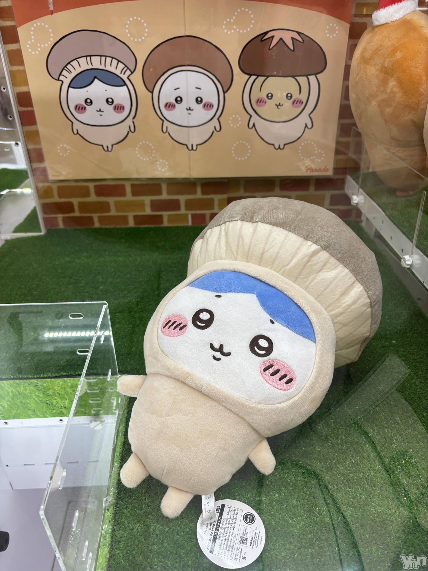 ���ܥ���Х��顦�����Cheriru(�������) ��2025ǯ11��28���̥�֥�����🍄‍🟫��