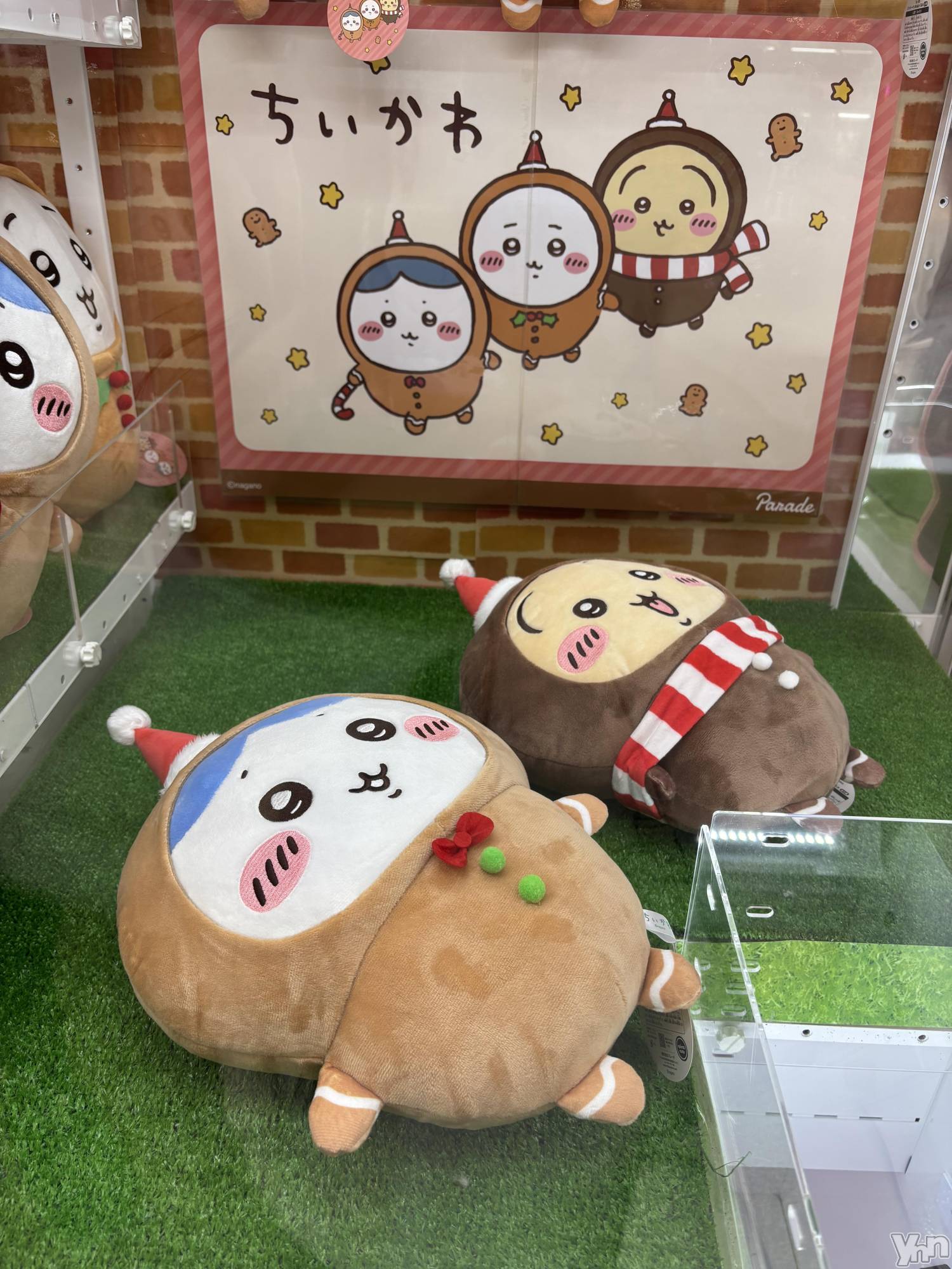 ���ܥ���Х��顦�����Cheriru(�������) ��2025ǯ12��1���̥�֥�����🎄��