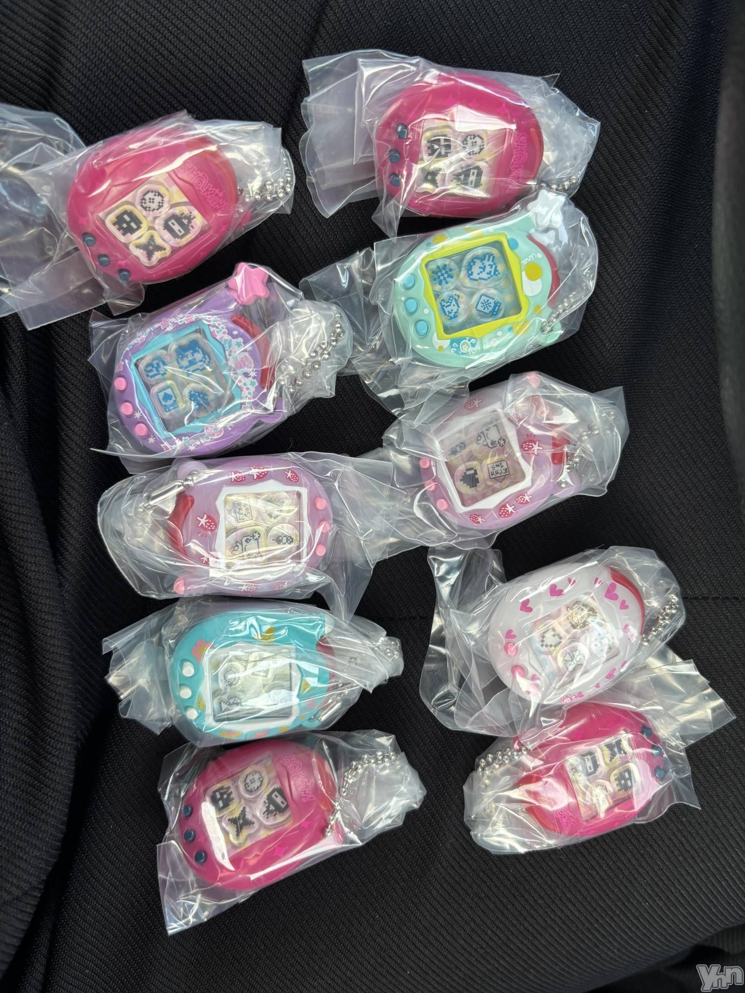 ���ܥ���Х��顦�����Cheriru(�������) ��2025ǯ12��5���̥�֥�����🌺��