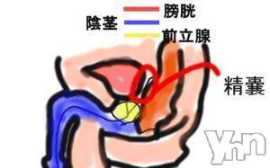 甲府デリヘルThree＆Men’s Spa 甲府(スリー＆メンズスパ コウフ)あん　M性感(44)の2025年8月28日写メブログ「キテます!!キテます!!」