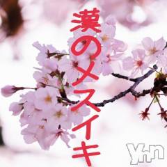 甲府デリヘルThree＆Men’s Spa 甲府(スリー＆メンズスパ コウフ) あん　M性感(44)の4月30日写メブログ「ケ○マ○○への道のり」