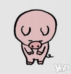 甲府デリヘルThree＆Men’s Spa 甲府(スリー＆メンズスパ コウフ) あん　M性感(44)の1月20日写メブログ「テスト」