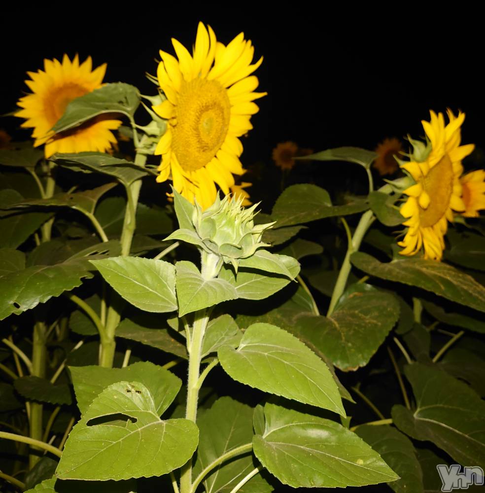 ���ܥ���Х��顦�����CLUB WONDER(����� ������) ���ȻҤ�8��4���̥�֥����֤�äƤ��ޤ��ޤ�������