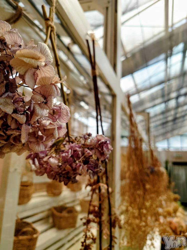 ���ܥ���Х��顦�����CLUB WONDER(����� ������) ���ȻҤ�8��17���̥�֥�����SOS�ʤɿ彭������ʤ���