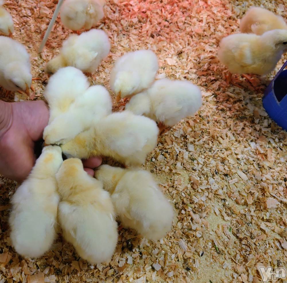 ���ܥ���Х��顦�����CLUB WONDER(����� ������) ���ȻҤ�9��28���̥�֥����־˻Ҥξ����­�Τޤ��⤯��