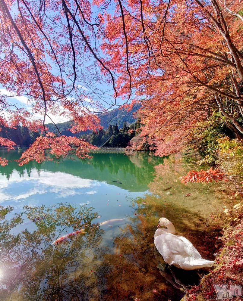 ���ܥ���Х��顦�����CLUB WONDER(����� ������) ���ȻҤ�10��18���̥�֥�����by my side��