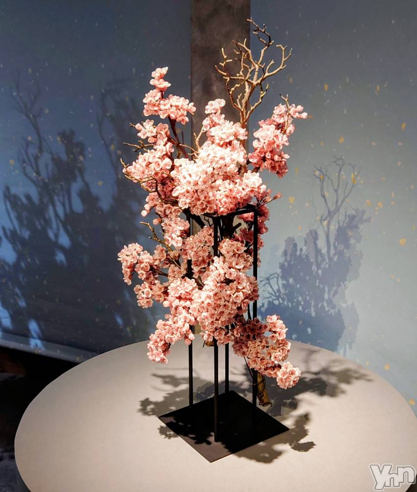 ���ܥ���Х��顦�����CLUB WONDER(����� ������) ���ȻҤ�3��26���̥�֥����֥��ޥ���å���̴�򸫤��