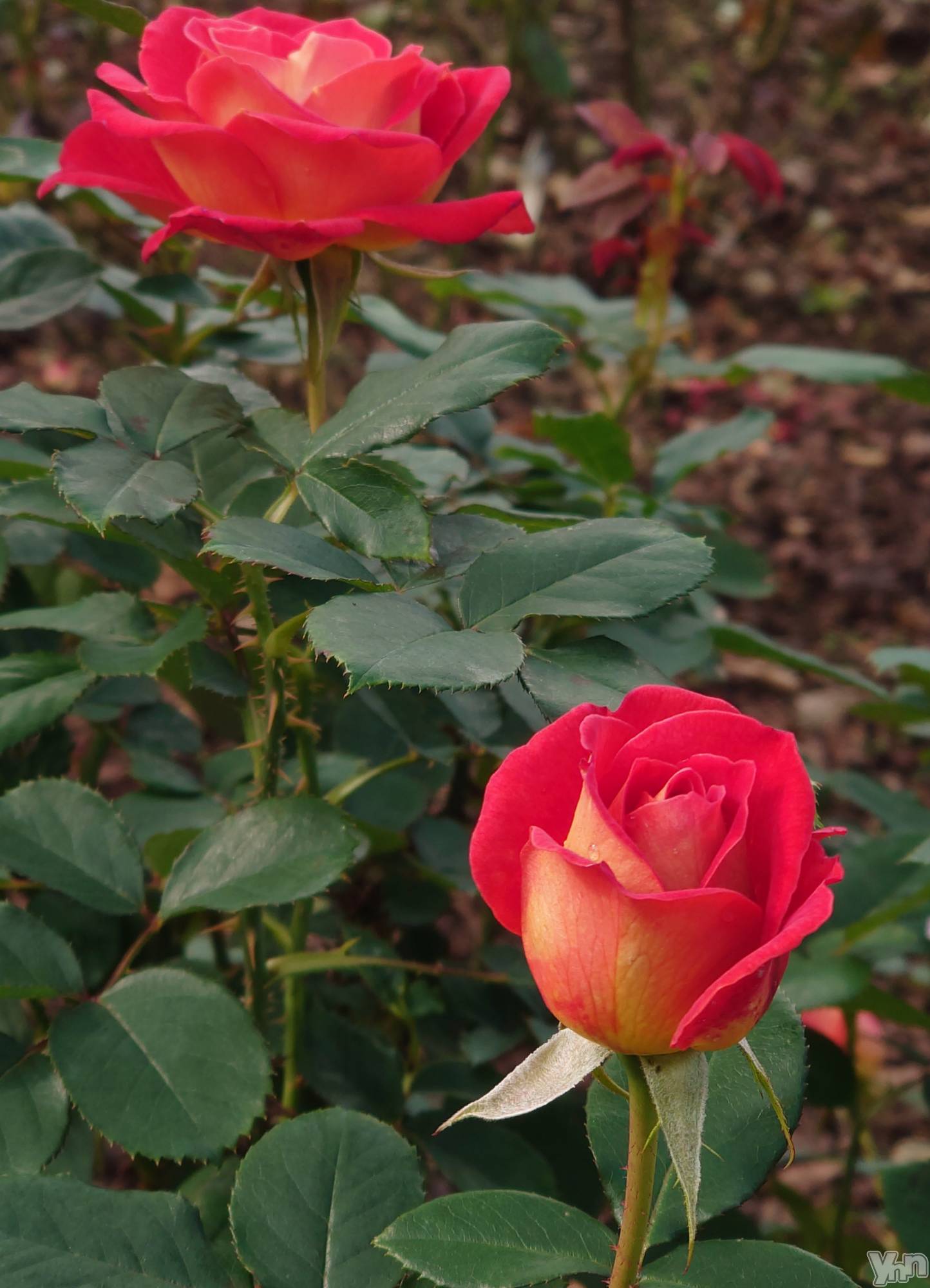 ���ܥ���Х��顦�����CLUB WONDER(����� ������) ��2025ǯ8��7���̥�֥����ִ��ʤ���������‪🥲‎‪🥲‎‪🥲‎��