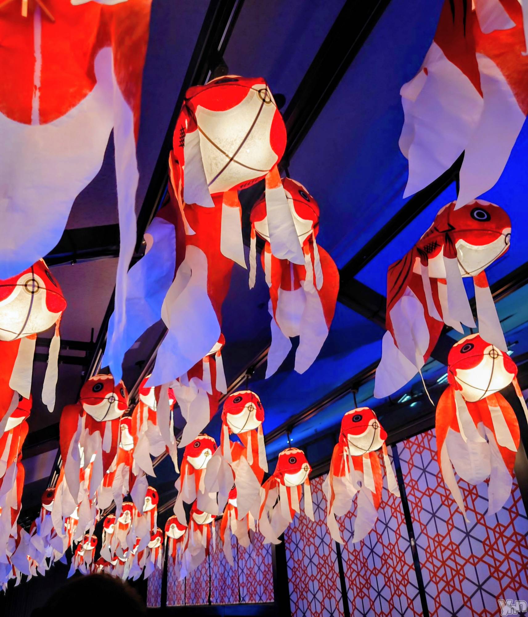 ���ܥ���Х��顦�����CLUB WONDER(����� ������) ��2025ǯ8��8���̥�֥�����̴���ä򤷤褦 ˰����ޤ��ݤ⤦��