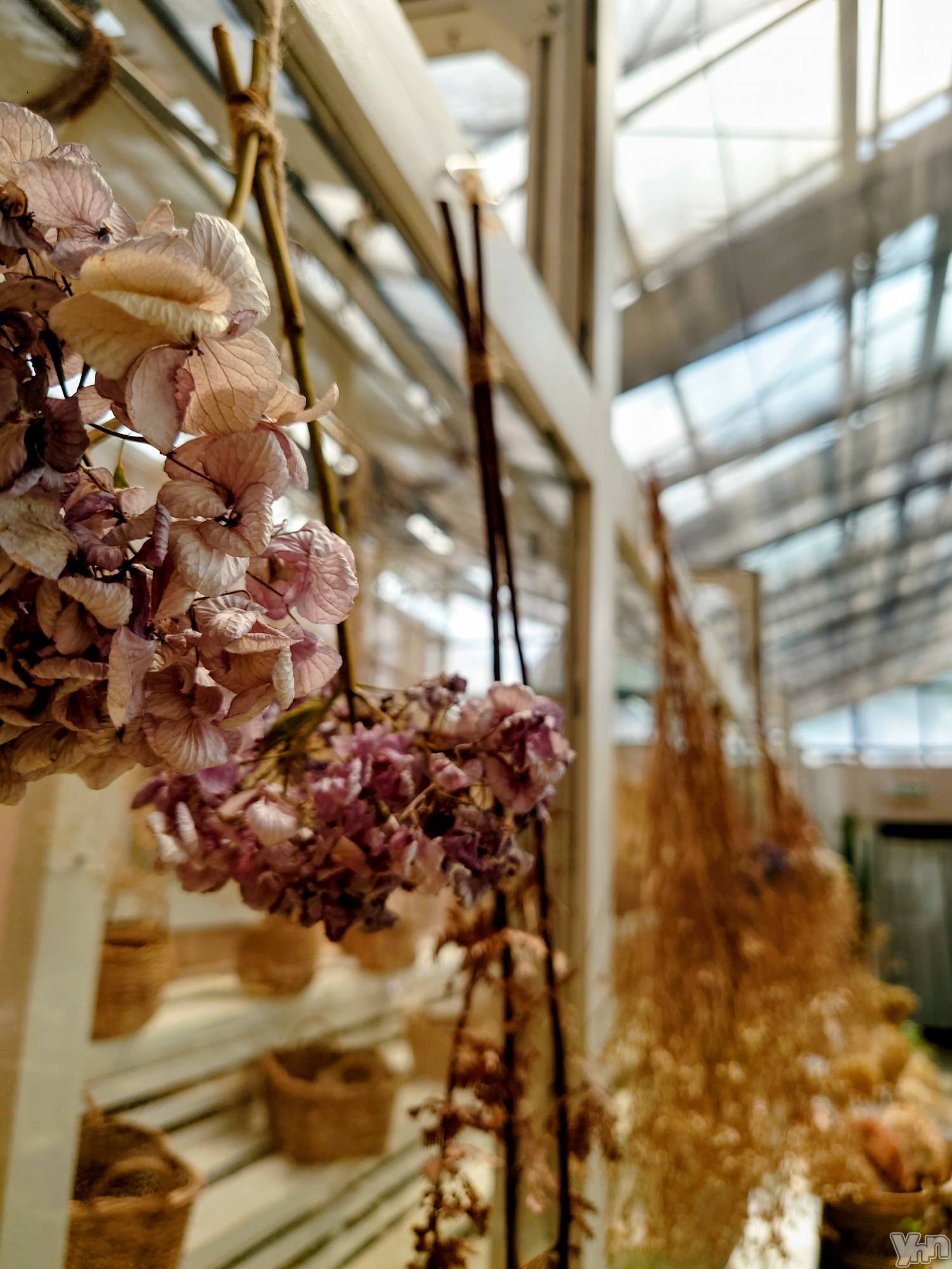 ���ܥ���Х��顦�����CLUB WONDER(����� ������) ��2025ǯ8��17���̥�֥�����SOS�ʤɿ彭������ʤ���