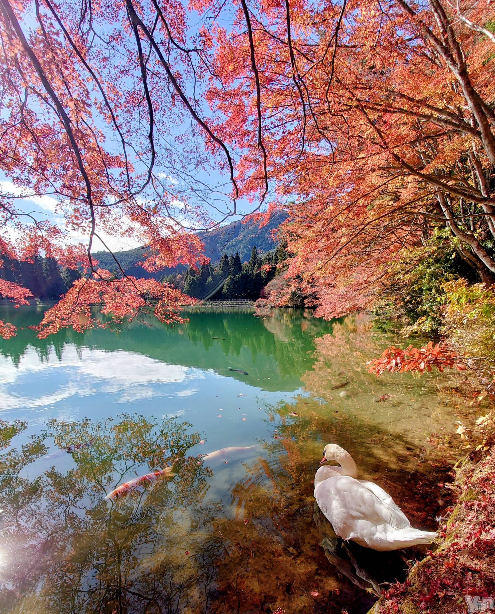 ���ܥ���Х��顦�����CLUB WONDER(����� ������) ��2025ǯ10��18���̥�֥�����by my side��