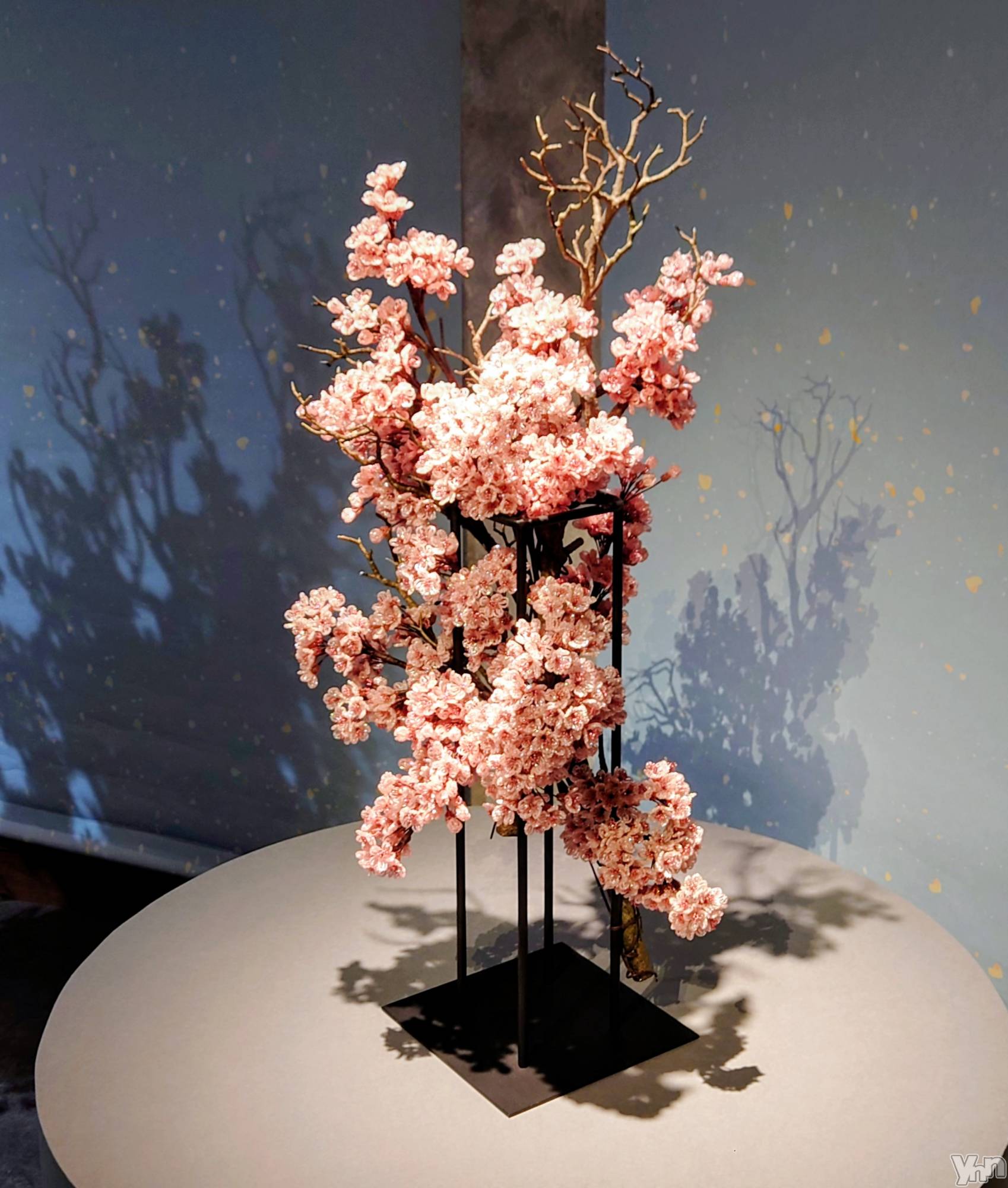 ���ܥ���Х��顦�����CLUB WONDER(����� ������) ��2026ǯ3��26���̥�֥����֥��ޥ���å���̴�򸫤��