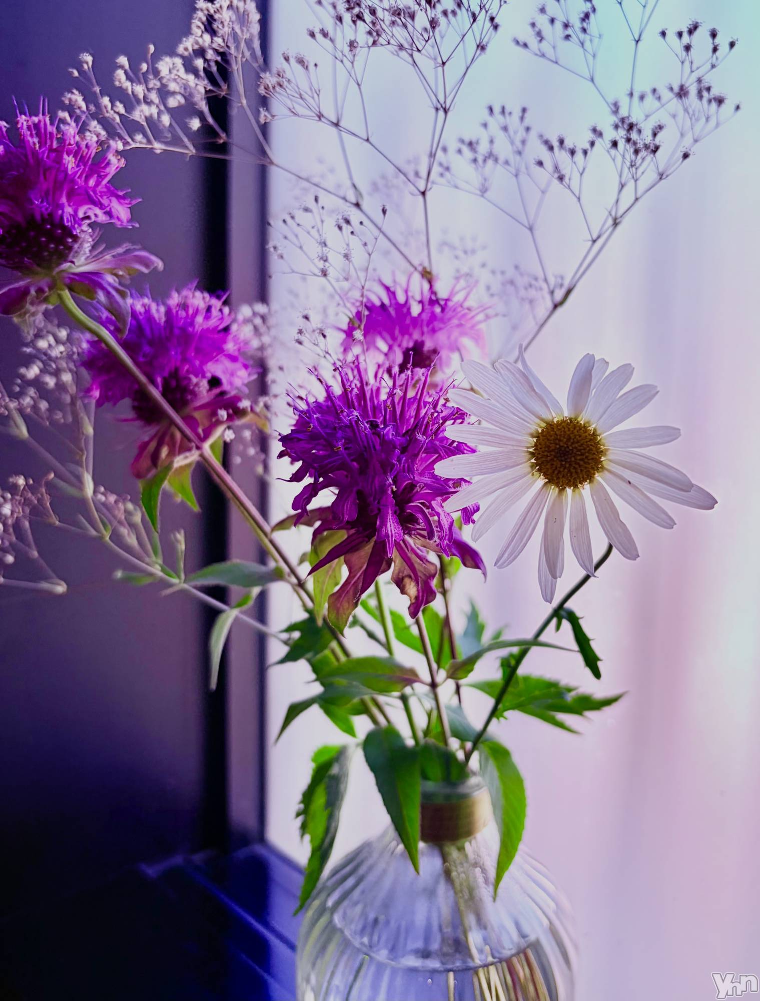 ���ܥ���Х��顦�����CLUB WONDER(����� ������) ��2026ǯ6��27���̥�֥�����💐💐💐��