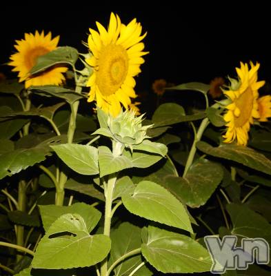 ���ܥ���Х��顦�����CLUB WONDER(����� ������) ���ȻҤ�8��4���̥�֥����֤�äƤ��ޤ��ޤ�������