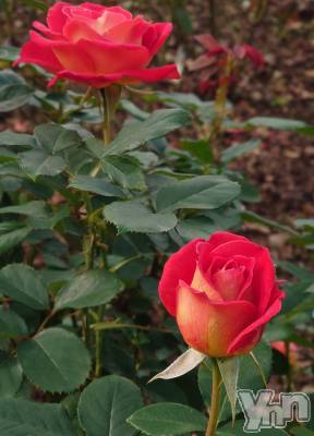 ���ܥ���Х��顦�����CLUB WONDER(����� ������) ���ȻҤ�8��7���̥�֥����ִ��ʤ���������‪🥲‎‪🥲‎‪🥲‎��