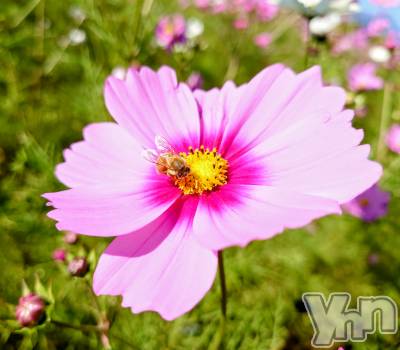 ���ܥ���Х��顦�����CLUB WONDER(����� ������) ���ȻҤ�8��11���̥�֥�����̴������ͤΤ���õ���ơ���