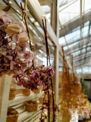 ���ܥ���Х��顦�����CLUB WONDER(����� ������) ���ȻҤ�8��17���̥�֥�����SOS�ʤɿ彭������ʤ���