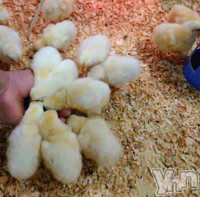 ���ܥ���Х��顦�����CLUB WONDER(����� ������) ���ȻҤ�9��28���̥�֥����־˻Ҥξ����­�Τޤ��⤯��