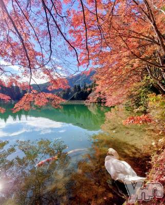 ���ܥ���Х��顦�����CLUB WONDER(����� ������) ���ȻҤ�10��18���̥�֥�����by my side��