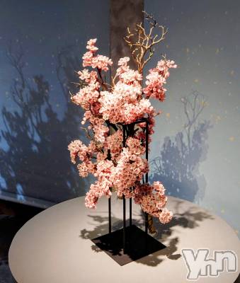 ���ܥ���Х��顦�����CLUB WONDER(����� ������) ���ȻҤ�3��26���̥�֥����֥��ޥ���å���̴�򸫤��